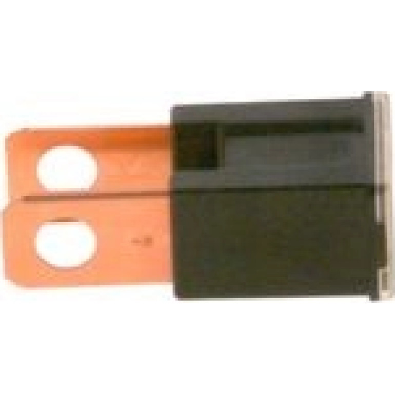 Sicherung 1987529073 Sicherung 1987529073