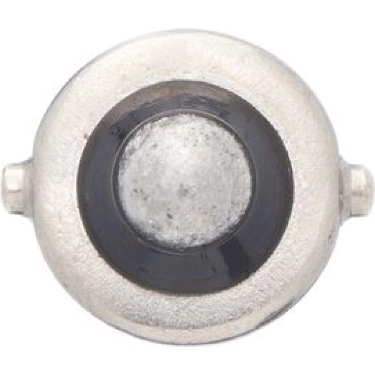 T4W 12V 4W PURE LIGHT 1987302207 T4W 12V 4W PURE LIGHT 1987302207