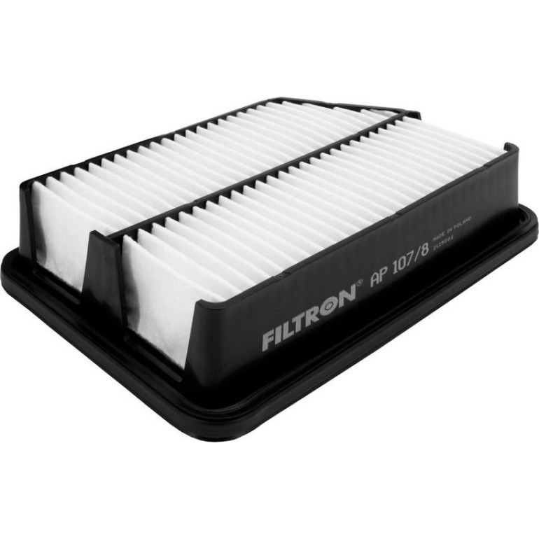 FILTRON Luftfilter AP 107/8