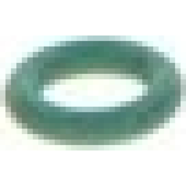 O-Ring 1928300887 O-Ring 1928300887