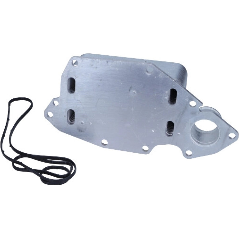 Ölkühler, Motor“L 31864
