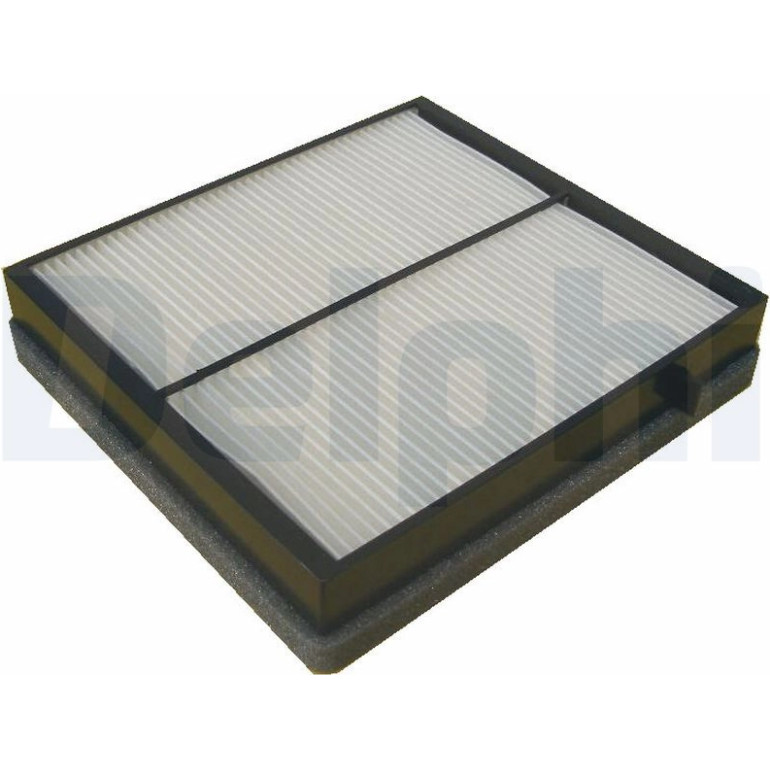 DELPHI Innenraumfilter TSP0325196 DELPHI Innenraumfilter TSP0325196