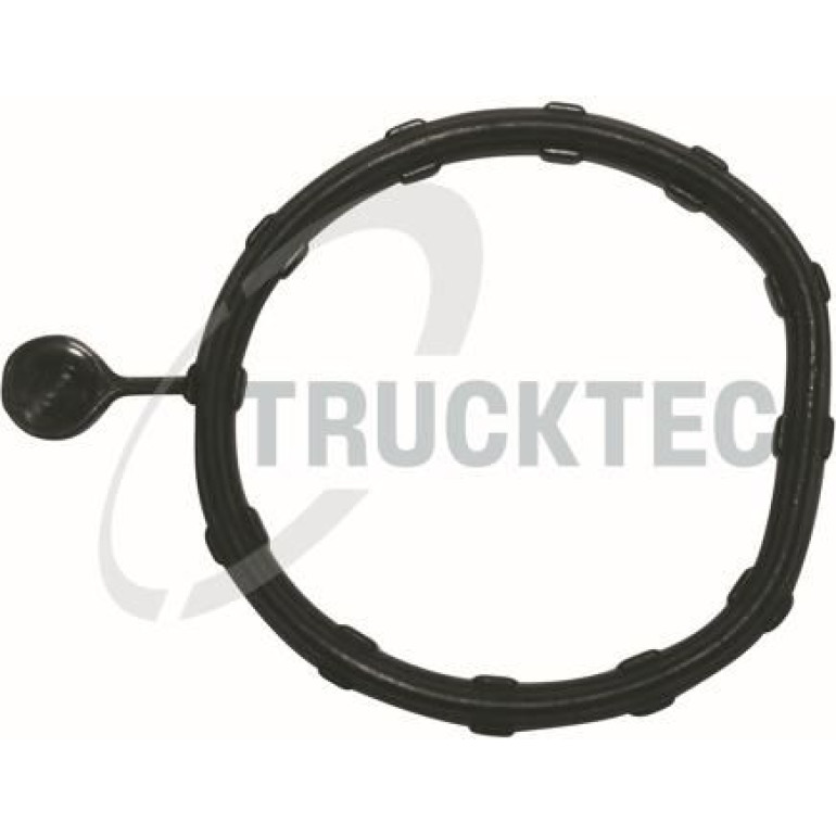 TRUCKTEC AUTOMOTIVE Versiegelung 02.19.346