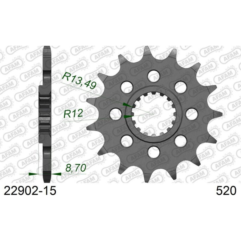 AFAM Ritzel 15 Zähne 22902-15 AFAM Ritzel 15 Zähne 22902-15