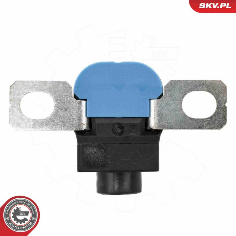 ESEN SKV Sensor, Batteriemanagement 96SKV330 ESEN SKV Sensor, Batteriemanagement 96SKV330