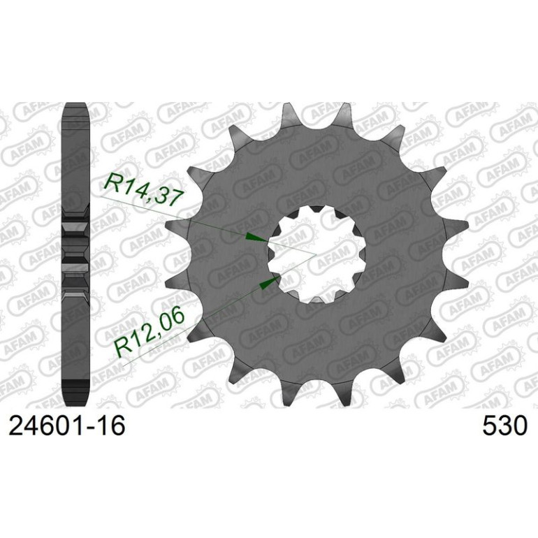 AFAM Ritzel 16 Zähne 24601-16 AFAM Ritzel 16 Zähne 24601-16