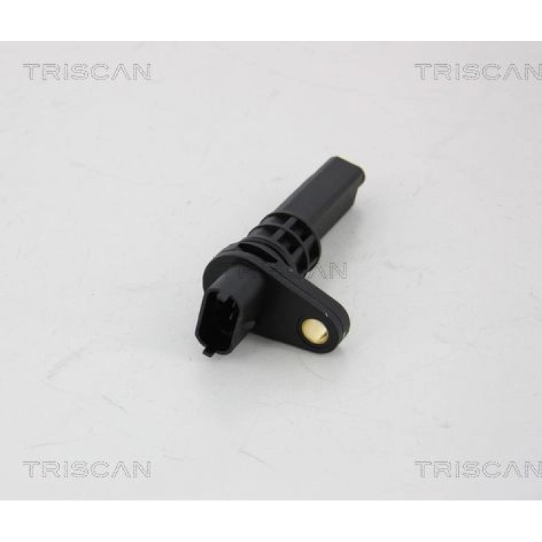 Sensor, Raddrehzahl 818024101