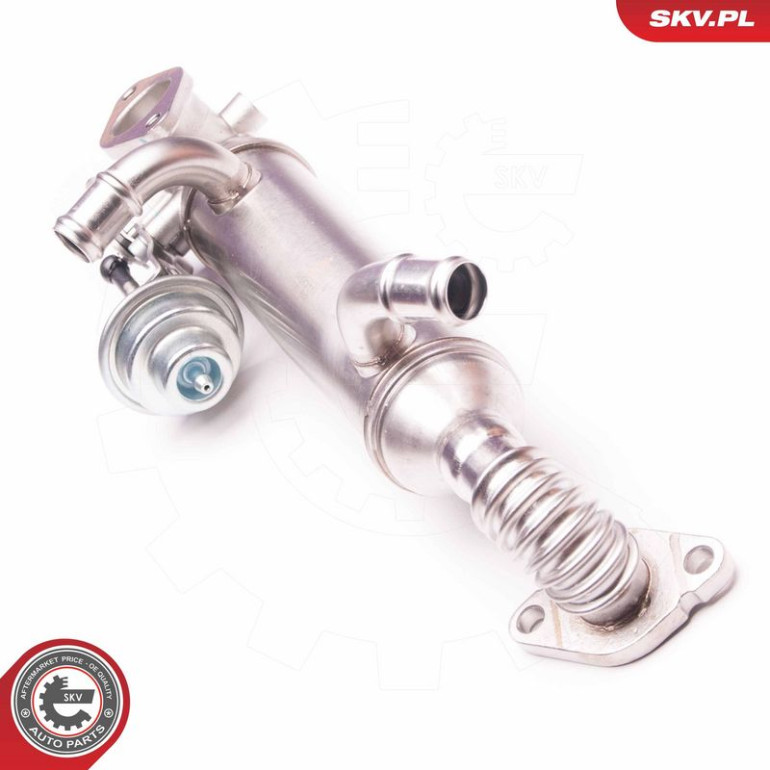 SKV GERMANY AGR-Ventil 14SKV119 SKV GERMANY AGR-Ventil 14SKV119