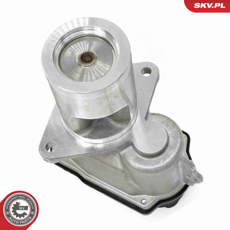 ESEN SKV AGR-Ventil 14SKV274