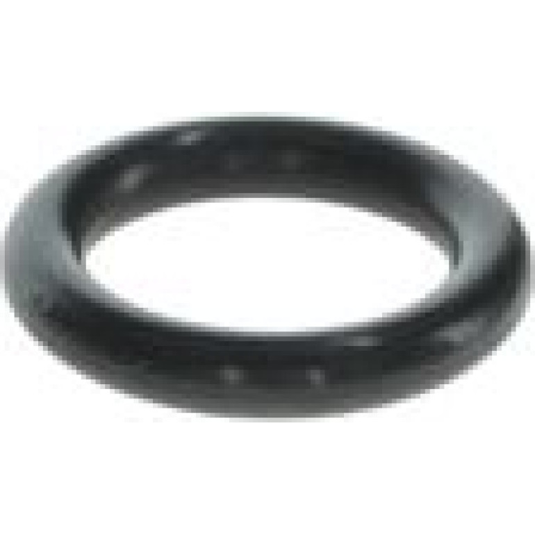O-Ring F 00R J01 456 O-Ring F 00R J01 456