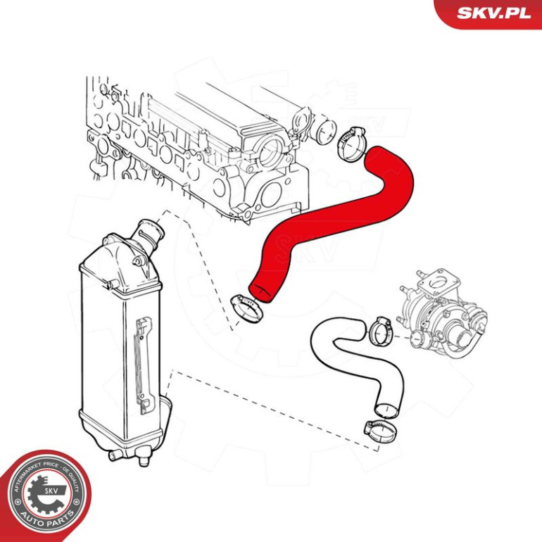 SKV GERMANY Luftschlauch 24SKV925