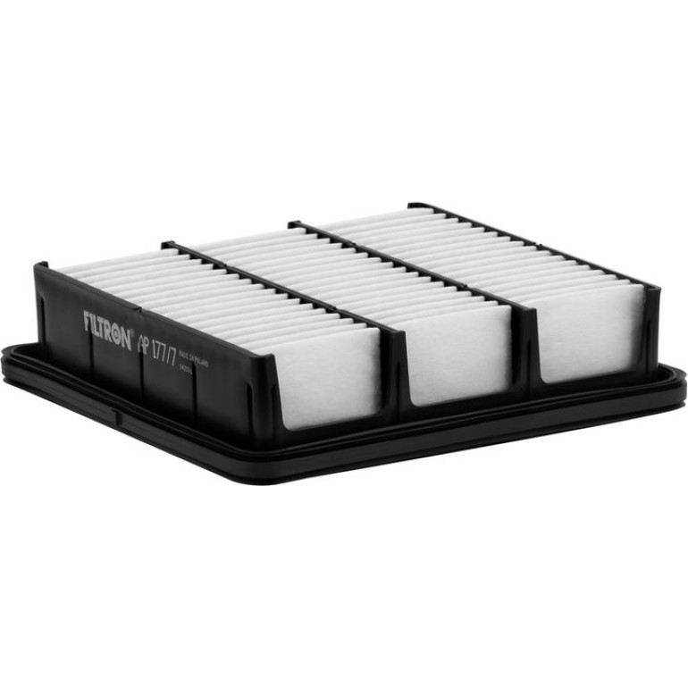FILTRON Luftfilter AP 177/7