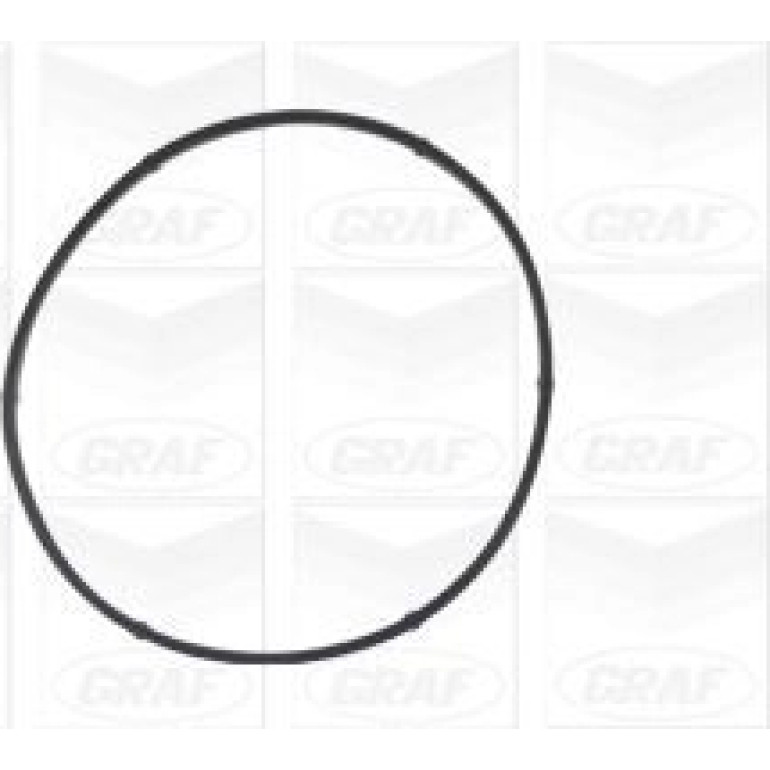 PA 541A Wasserpumpe PA541A PA 541A Wasserpumpe PA541A