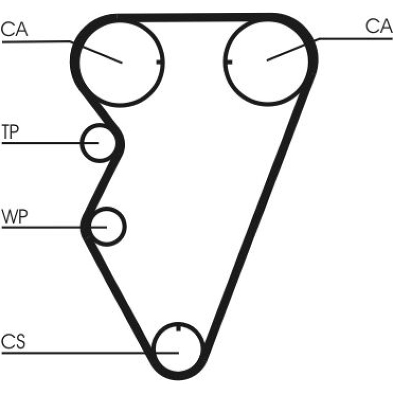 Zahnriemen CT974 Zahnriemen CT974