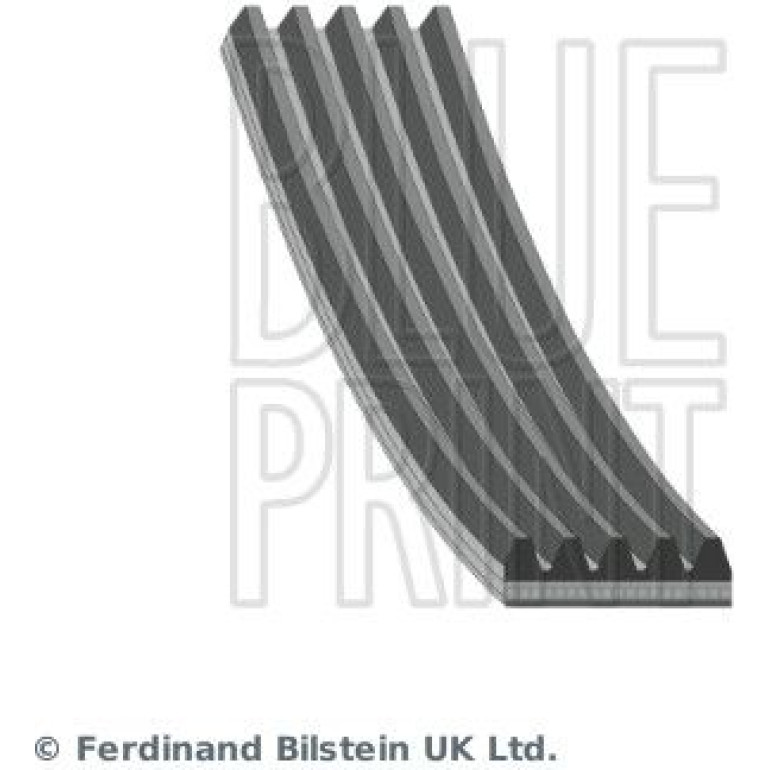 BluePrint Rillenriemen AD05R1590 BluePrint Rillenriemen AD05R1590