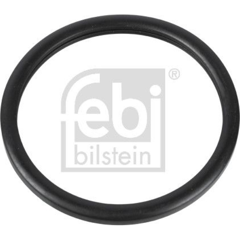 Dichtung, Thermostat 10255