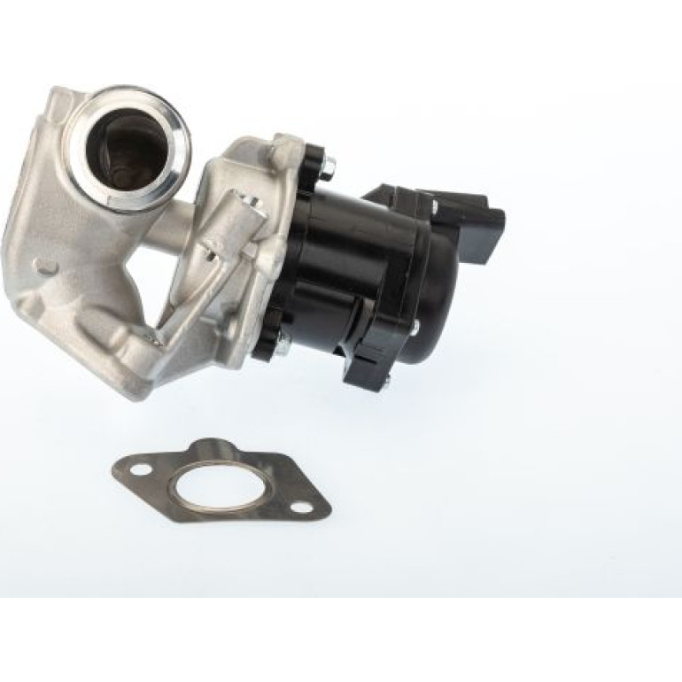 BorgWarner (Wahler) AGR-Ventil 710929D/1