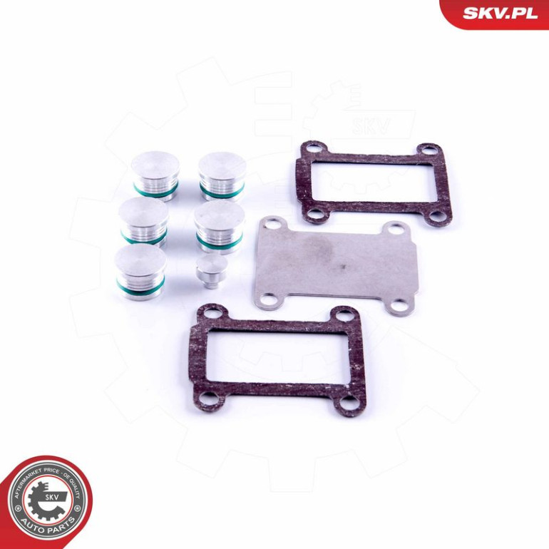ESEN SKV Reparatursatz, Saugrohrmodul 49SKV531