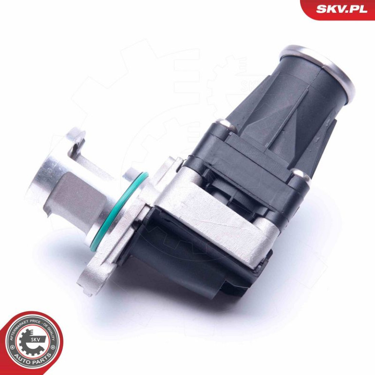 SKV GERMANY AGR-Ventil 14SKV185 SKV GERMANY AGR-Ventil 14SKV185