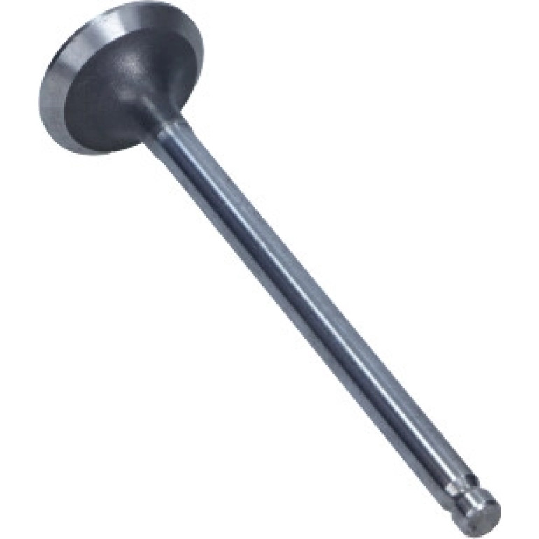 Auslassventil R6283/RCR Auslassventil R6283/RCR