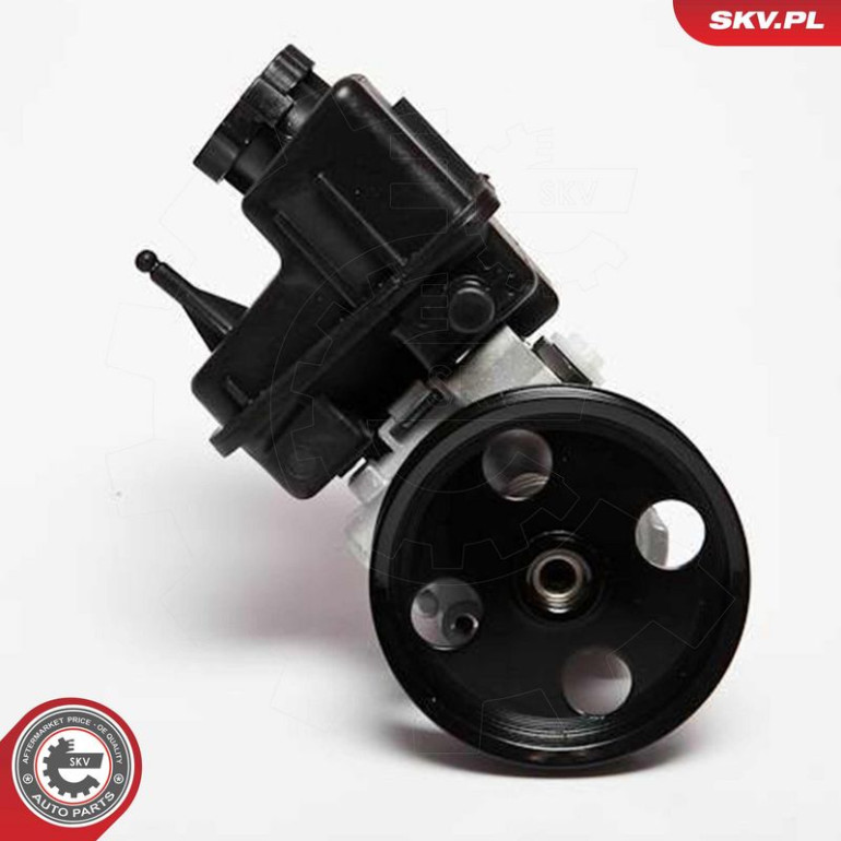 SKV GERMANY Hydraulikpumpe 10SKV107 SKV GERMANY Hydraulikpumpe 10SKV107