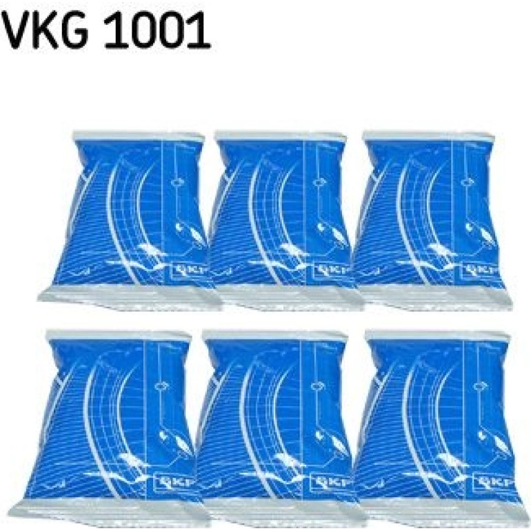 SKF Schmiermittel VKG1001