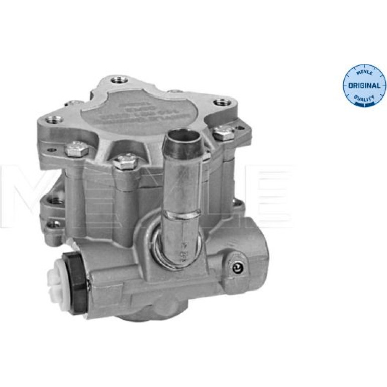 Servopumpe Vw Tt 1146310005 Servopumpe Vw Tt 1146310005