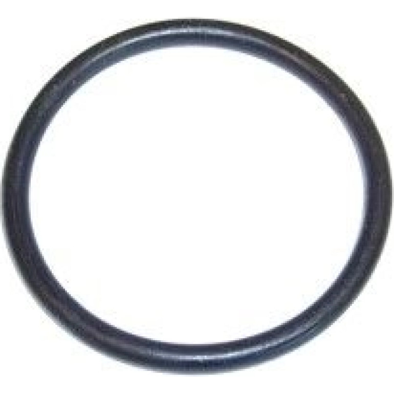 Dichtung, Thermostat 728.700 Dichtung, Thermostat 728.700