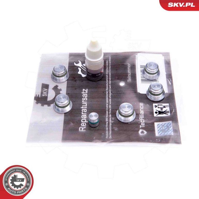 ESEN SKV Reparatursatz, Saugrohrmodul 49SKV533