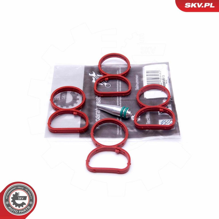 ESEN SKV Reparatursatz, Saugrohrmodul 49SKV513 ESEN SKV Reparatursatz, Saugrohrmodul 49SKV513