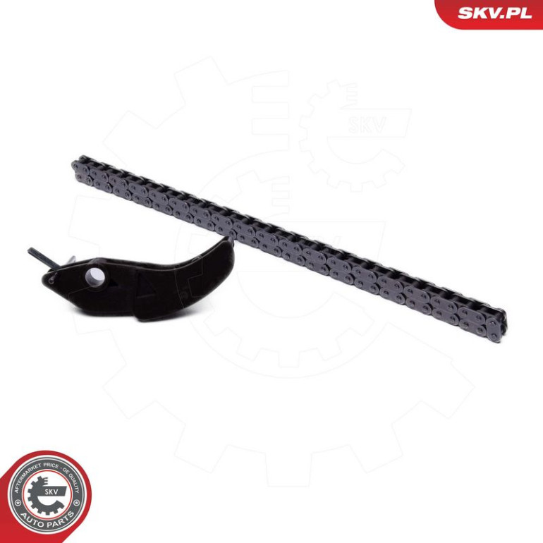 ESEN SKV Steuerkettensatz 21SKV252 ESEN SKV Steuerkettensatz 21SKV252