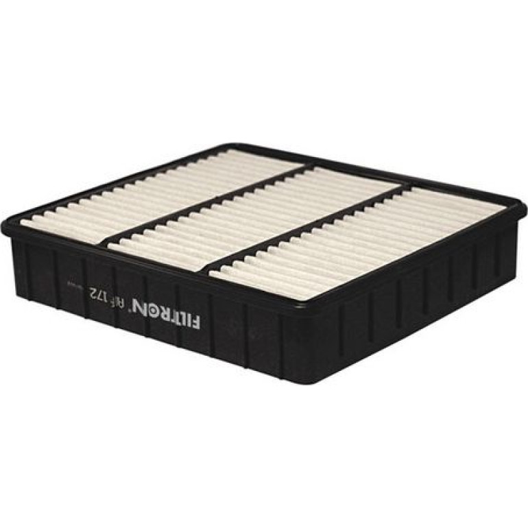 FILTRON Luftfilter AP 172