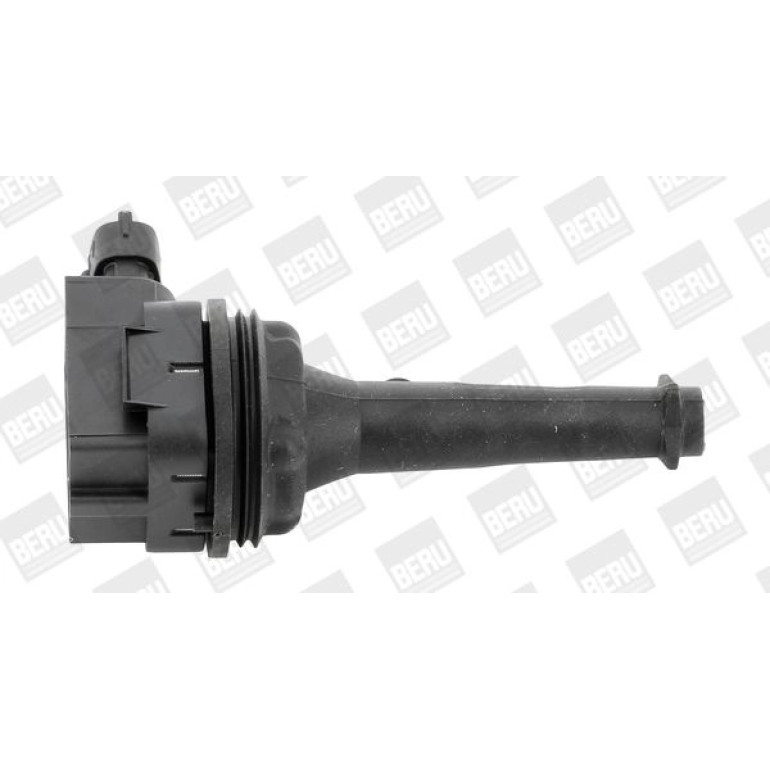 BorgWarner (BERU) Zündspule ZSE019 BorgWarner (BERU) Zündspule ZSE019