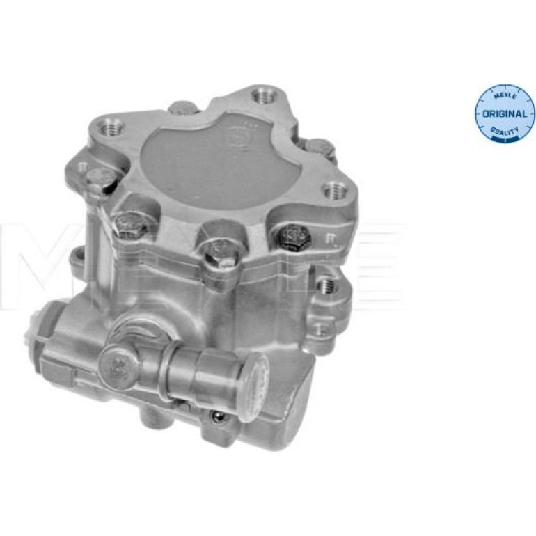 Servopumpe Vw A6 97-05 1146310019 Servopumpe Vw A6 97-05 1146310019
