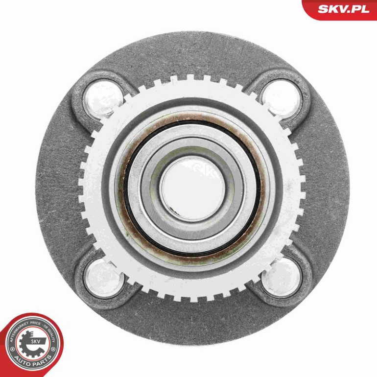 ESEN SKV Radlagersatz 29SKV628