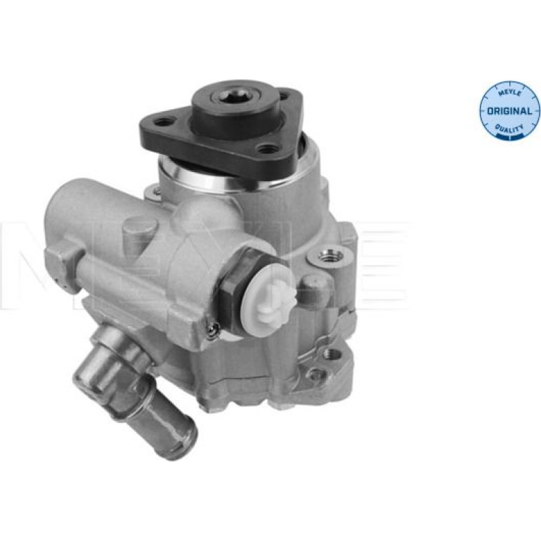Servopumpe Bmw E46 3146310004 Servopumpe Bmw E46 3146310004