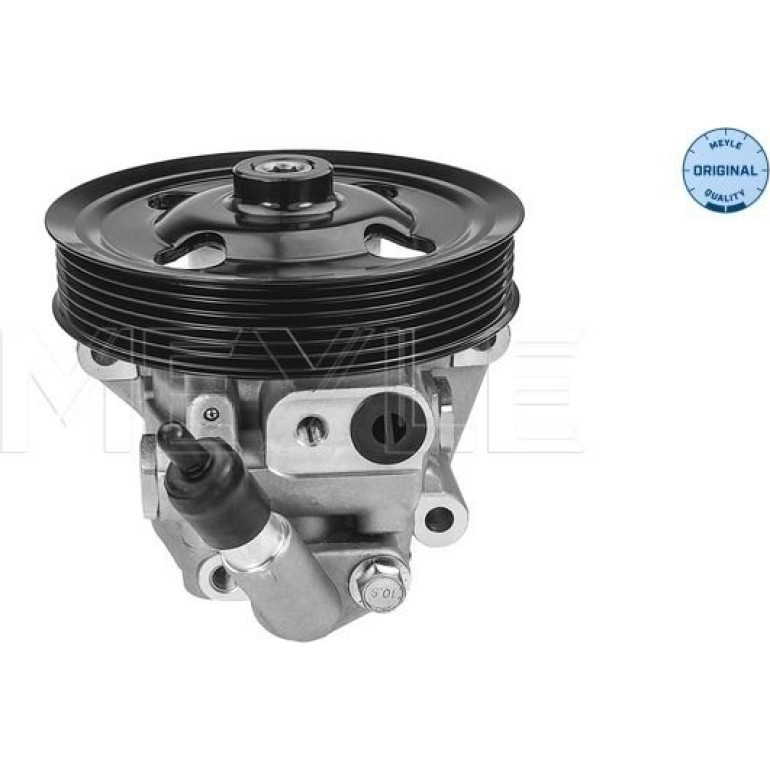 Servopumpe Ford Galaxy Ii (05/06-/), Mondeo Iv (03/07-/), S-Max (05/06-/)/ Land Rover Freelander Ii (10/06-/) 7146310030 Servopumpe Ford Galaxy Ii (05/06-/), Mondeo Iv (03/07-/), S-Max (05/06-/)/ Land Rover Freelander Ii (10/06-/) 7146310030