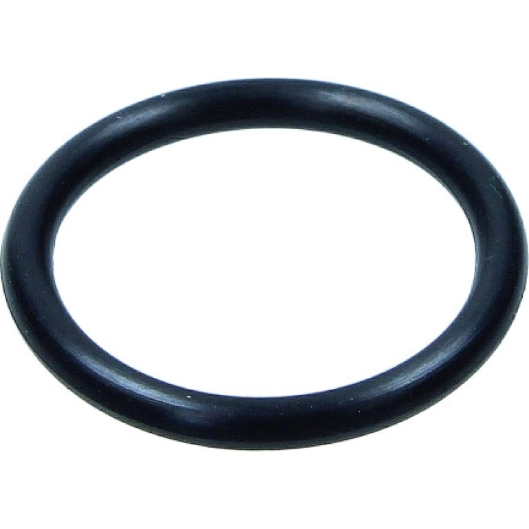 Dichtring 886.680 Dichtring 886.680