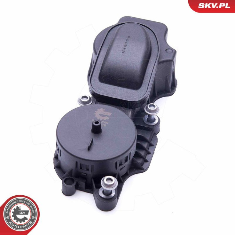 SKV GERMANY Ventil 31SKV069