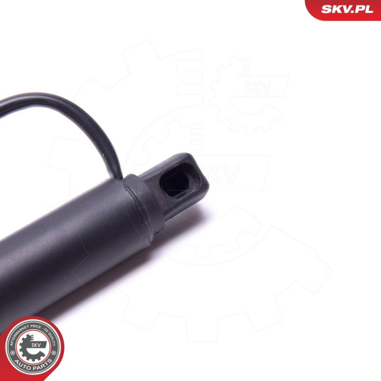ESEN SKV Elektromotor, Heckklappe 52SKV948