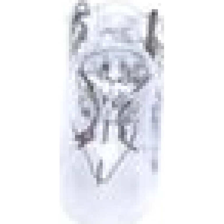 W2,3W 12V 2,3W PURE LIGHT 1987302240 W2,3W 12V 2,3W PURE LIGHT 1987302240