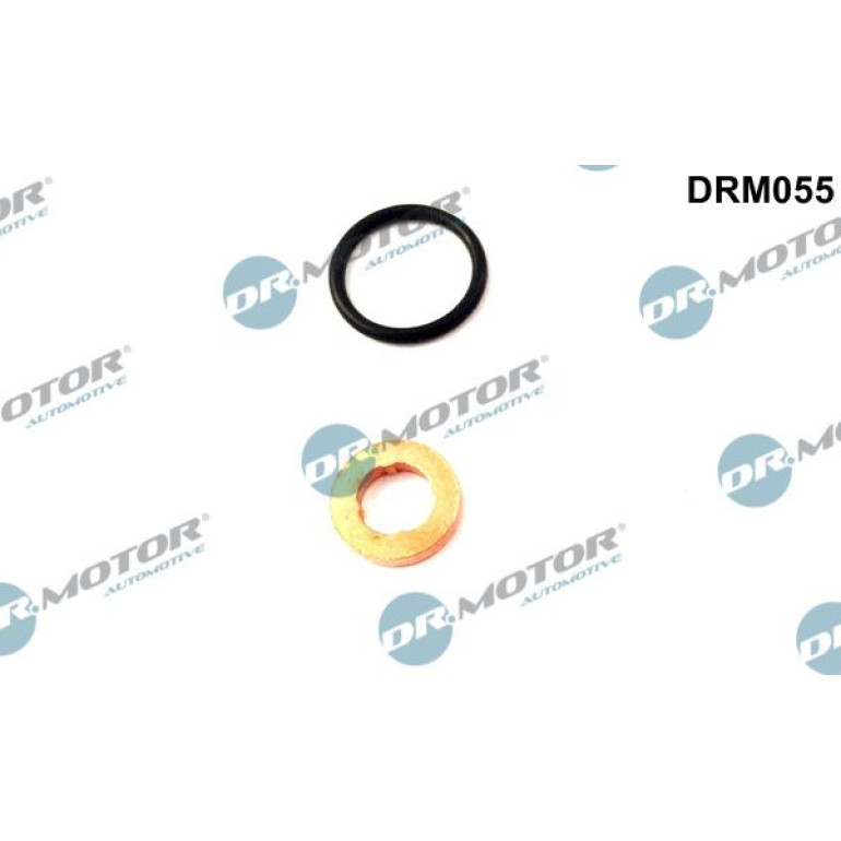 Einspritzdüse Dichtungssatz DRM055 Einspritzdüse Dichtungssatz DRM055