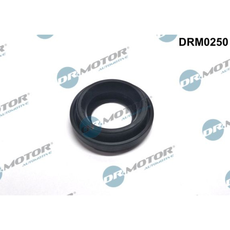 DR.MOTOR Dichtungssatz Einspritzdüse DRM0250