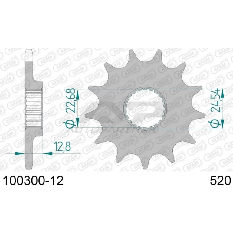 AFAM Ritzel 12 Zähne 100300-12 AFAM Ritzel 12 Zähne 100300-12