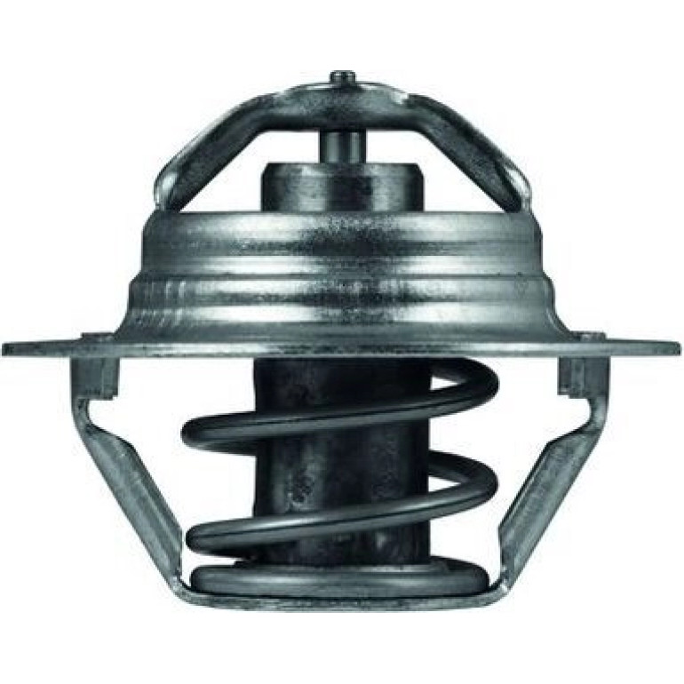 Thermostateinsatz mit Dichtung TX 100 89D Thermostateinsatz mit Dichtung TX 100 89D