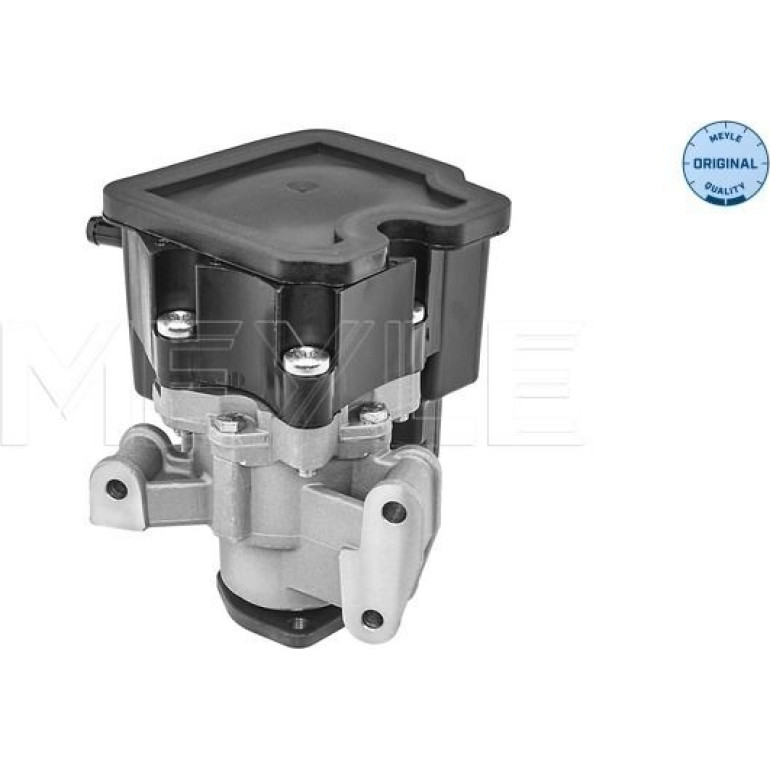 MEYLE Servopumpe Mercedes-Benz Sprinter Cdi 00-06 346310006 MEYLE Servopumpe Mercedes-Benz Sprinter Cdi 00-06 346310006