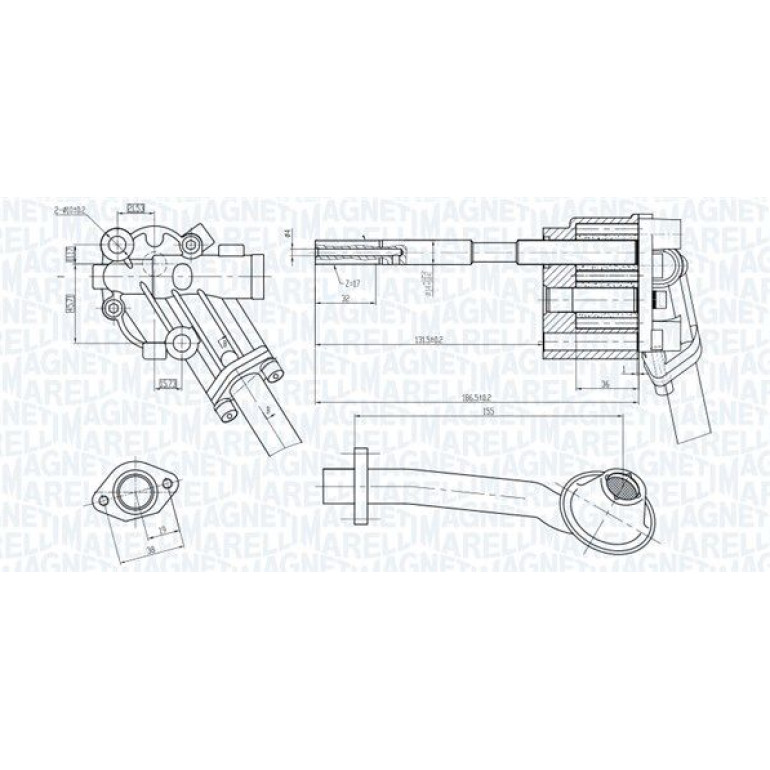 MAGNETI MARELLI Ölpumpe 351516000022 MAGNETI MARELLI Ölpumpe 351516000022