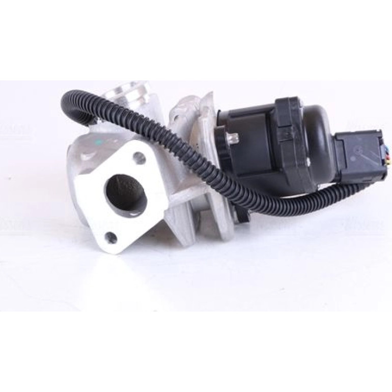 NISSENS Agr-Ventil 98245 NISSENS Agr-Ventil 98245