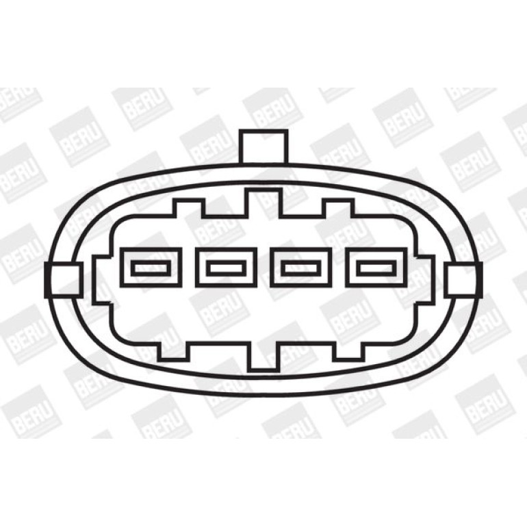 BorgWarner (BERU) Zündspule ZSE019 BorgWarner (BERU) Zündspule ZSE019
