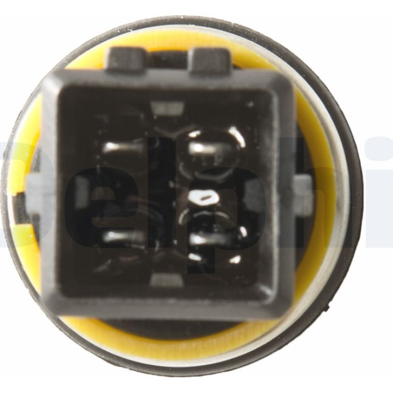 DELPHI Temperatursensor TS10245-12B1 DELPHI Temperatursensor TS10245-12B1
